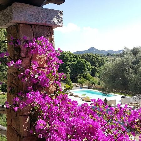 Agriturismo Desole Monti Екстер'єр фото