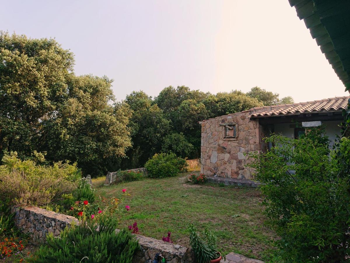 Agriturismo Desole Monti Екстер'єр фото