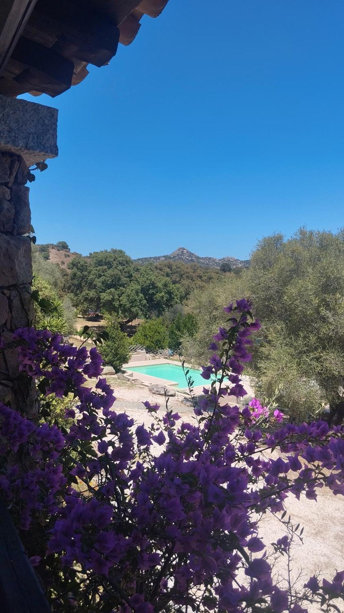 Agriturismo Desole Monti Екстер'єр фото